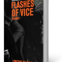 BOOK REVIEW: FLASHES OF VICE VOL I by VINCENT DE PAUL